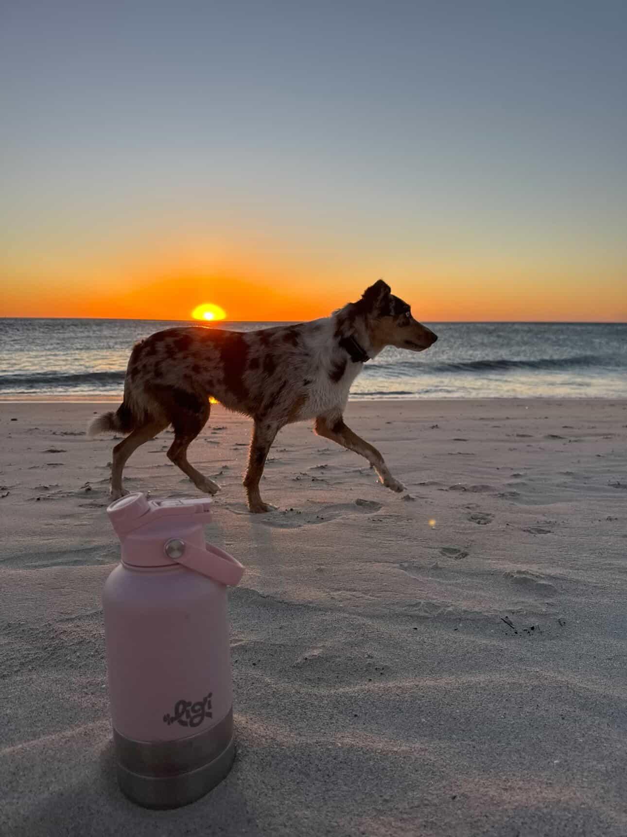 Ligi Reviews Background