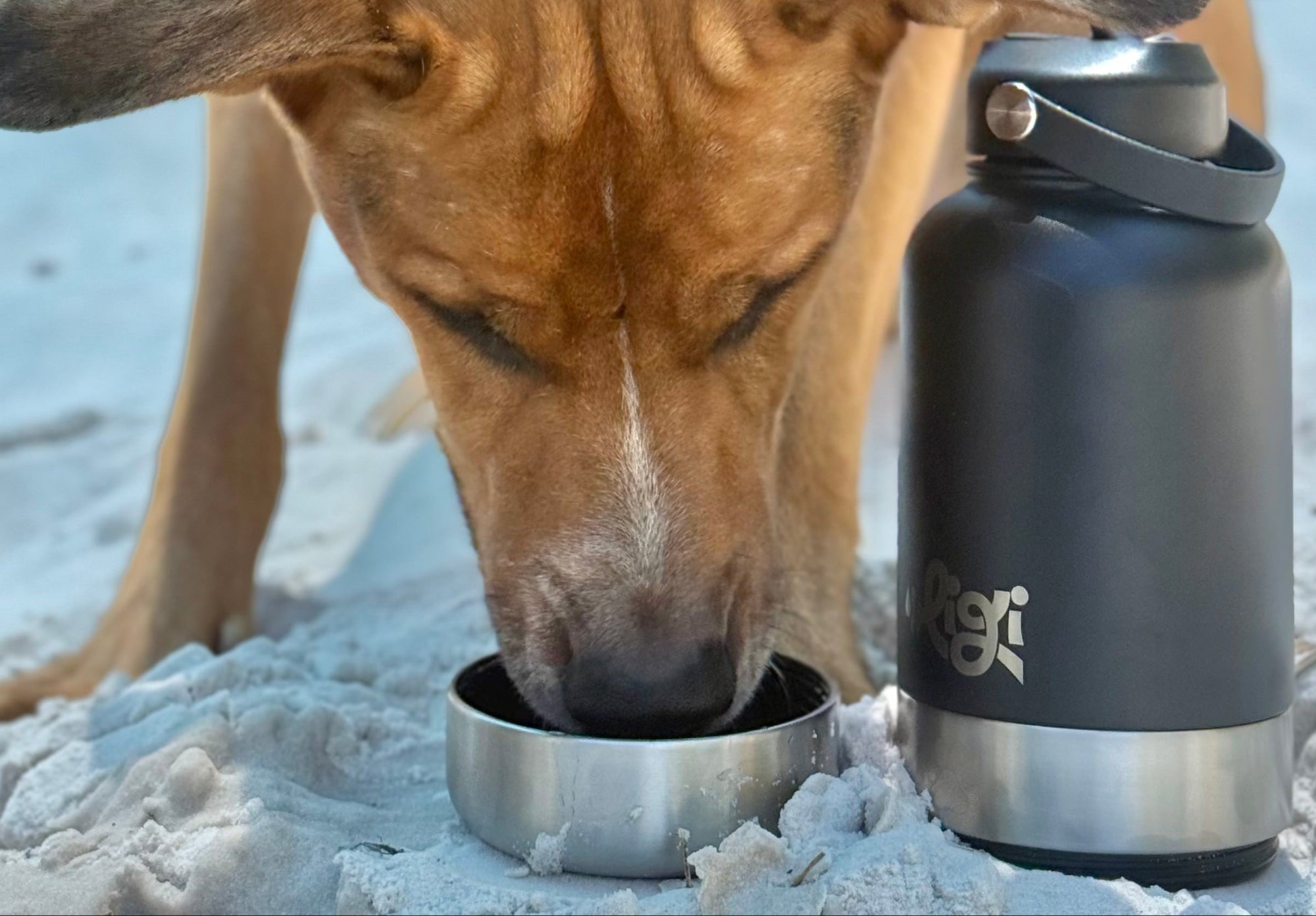 Ligi Impact Background